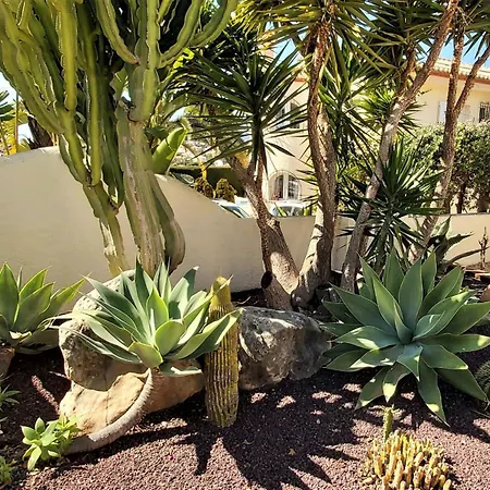 Gran Palmeras With Private Pool & Amazing View Βίλα Κάλπε